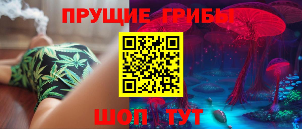 Псилоцибиновые грибы Magic Shrooms  купить закладку  Рубцовск  Вход с VPN 